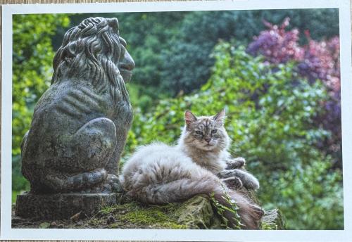 Cat and lion statue in the garden. Vintage postcard with copy space.