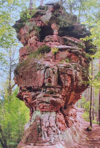 The red sandstone cliffs of the National Park of Adrspach-Teplice Rocks.