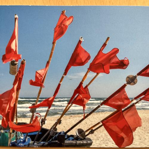 Red flags on the beach with sea in the background, South Australia