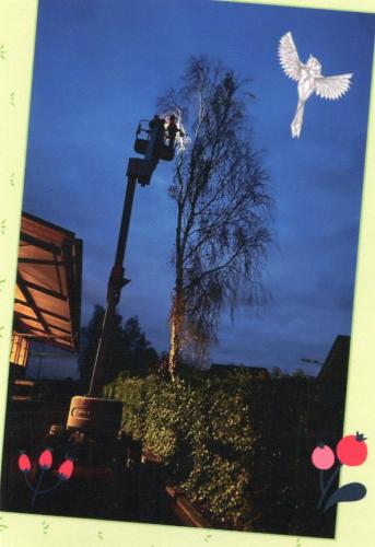 Grunge postcard with a picture of a bird in the sky