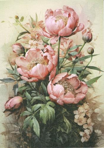 Bouquet of pink peonies on the old paper background.