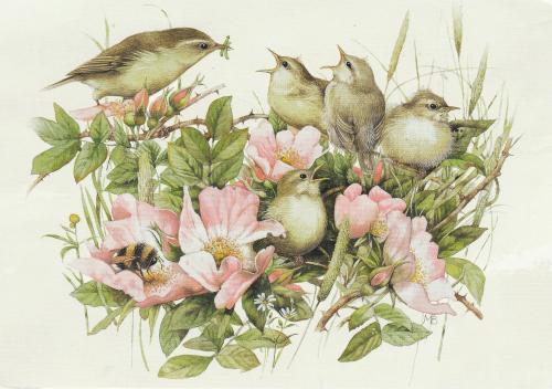 Birds on a branch of a flowering bush. Watercolor painting