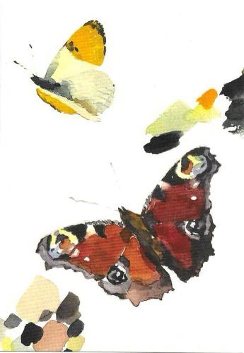 butterflies on a white background, watercolours, handmade