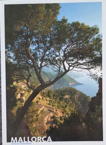 A postcard printed in Tenerife shows a view of La Palma from the Caldera de Taburiente