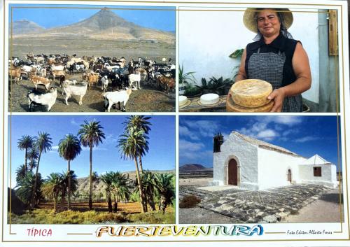 Vintage postcard with the image of a farmer and his livestock