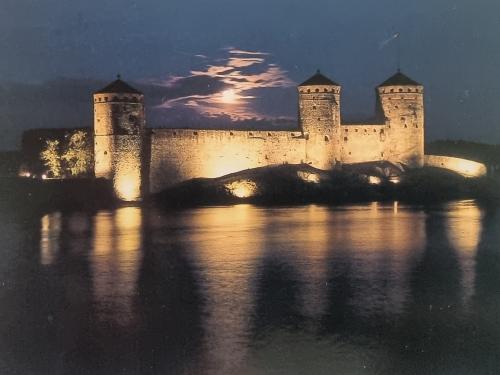The medieval fortress of Carcassonne, France. Photo in old image style