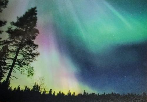 Northern lights, Aurora borealis, northern lights, northern lights, northern lights