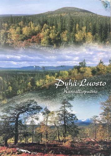 Mountain landscape with forest and lake in autumn. Postcard.