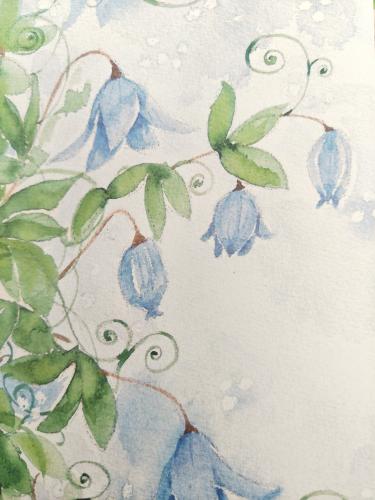 Watercolor painting of blue flowers on white background. Hand-drawn illustration.