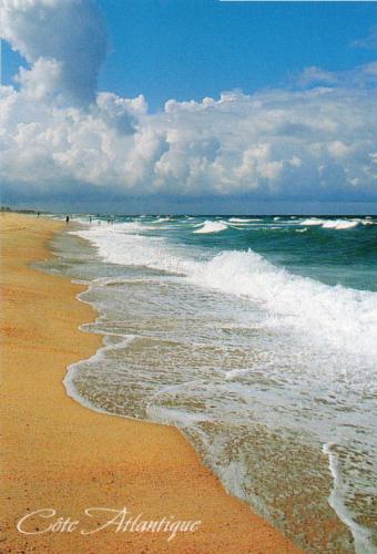 beautiful seascape with beach and blue sky, Florida, USA