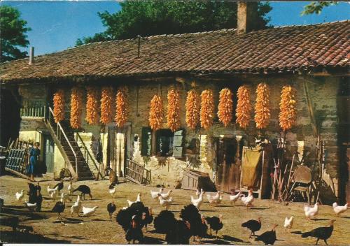 A postcard printed in Cartagena shows a rural scene.