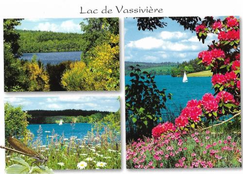 Collage of four photos with rhododendrons on the lake