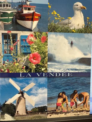 Vintage postcard with seagull, windmill and flowers