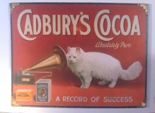 A British Shorthair kitten stands in front of a sign.