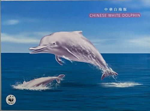Chinese New Year's card in 2017 - Year of the White Dolphin