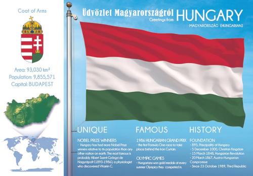 Hungary flag on a flagpole, infographics, vector illustration