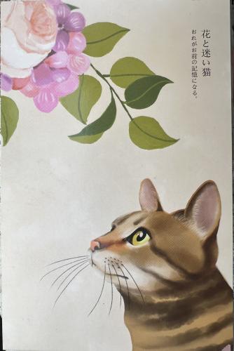 Korean traditional painting of a cat, closeup of photo.