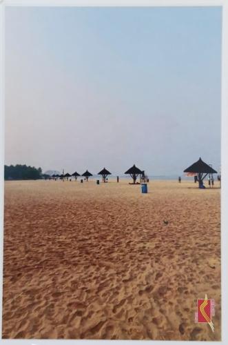 Beach in the morning with sunbeds and umbrellas