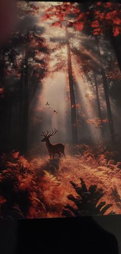 Deer in the autumn forest with fog and sunbeams.