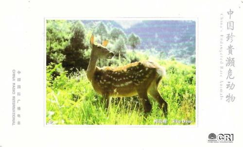 Japanese postcard for the year of the roe deer in 2015