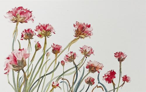 Watercolor illustration of wildflowers on a white background. Wildflowers.