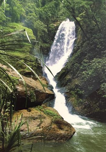 Waterfall in the rainforest of Costa Rica, Central America.