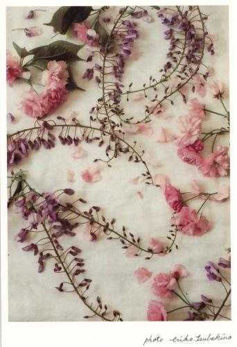 Vintage floral background with pink and purple wisteria flowers on old paper