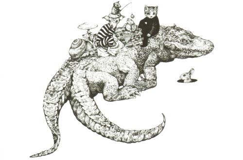 Crocodile on a white background. An hand-drawn illustration.