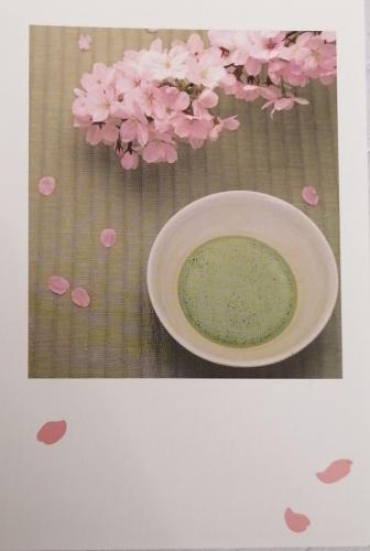 Matcha green tea and cherry blossom. Japanese tea ceremony.
