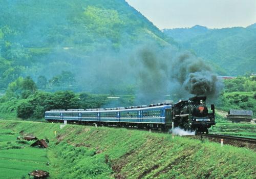 Train in the rice paddy fields in the countryside of Taiwan.