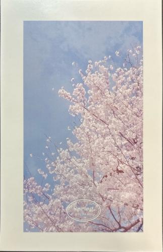 USSR - CIRCA 1980s: Postcard printed in USSR shows image of cherry blossoms, circa 1980s