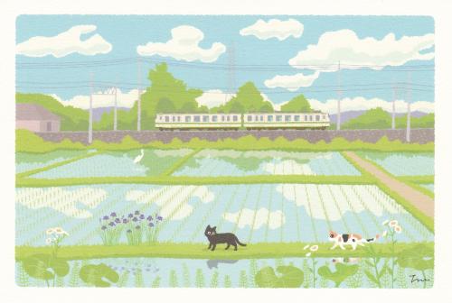 Illustration of a train running through the rice fields in Japan.