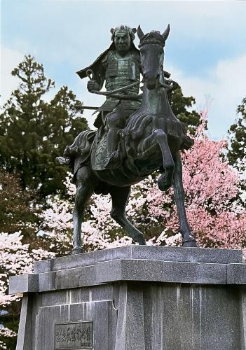 Statue of the japanese samurai in front of cherry blossoms