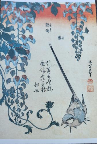 traditional Chinese calligraphy works on paper, closeup of photo
