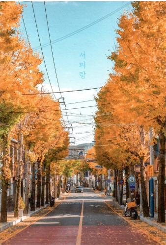 Street in the autumn season. Photo in old color image style.