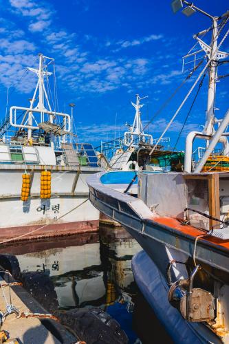 Fishing boats moored in the port. Blue sky background.