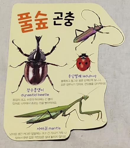 Mantis and ladybug on a postcard in chinese language