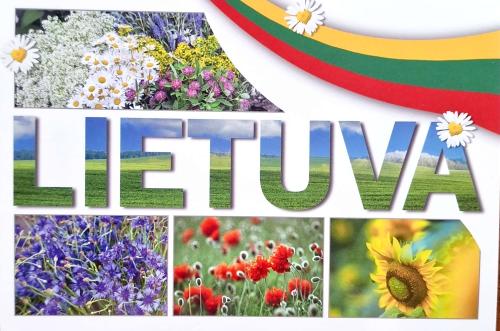 Lithuanian flag printed on canvas. National holiday concept.