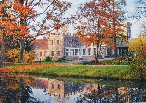 Autumn in the city park