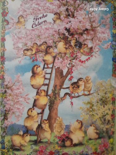 Cherry blossom tree with cute little chicks and ladder, postcard