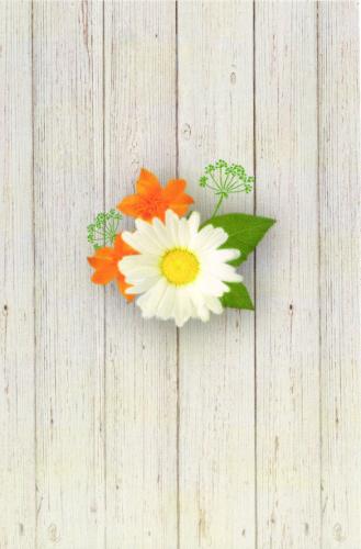 Daisy flowers on white wooden background with copy space for your text