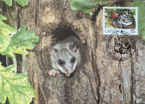 A stamp printed in the Netherlands shows a sugar glider (Petaurus breviceps) in a tree.