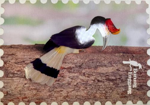 A stamp printed in Thailand shows image of a hornbill, circa 2011.