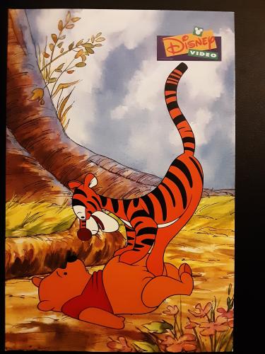 Children's picture of a tiger in the forest. Illustration.
