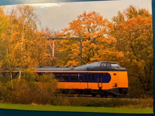 Train in the autumn forest. Railway on the background of the autumn forest.