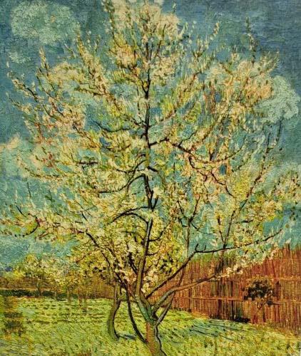 Painting of a flowering tree in the park. Vintage painting.