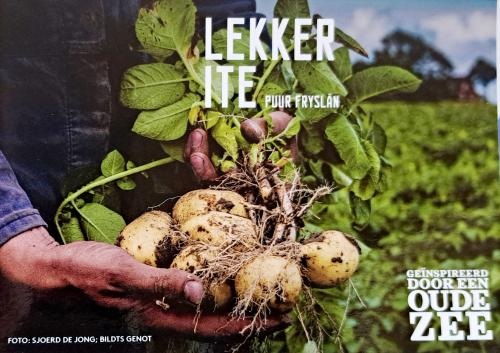 Organic farming concept. Farmer holding freshly harvested potatoes in their hands.