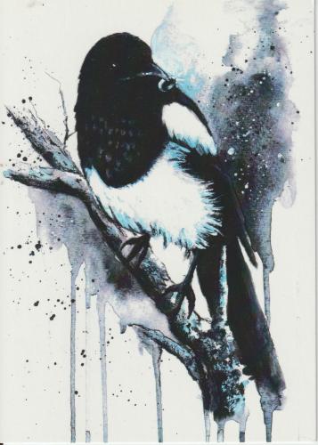 Hand drawn watercolor illustration of a magpie sitting on a branch