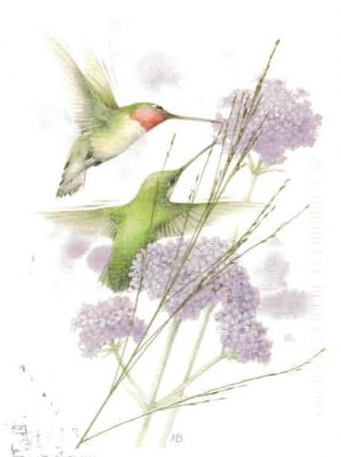 Hummingbird and hydrangea. Watercolor illustration.