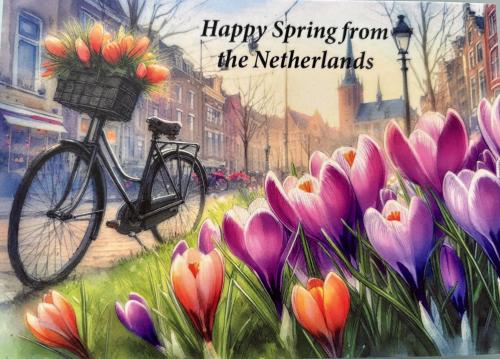 Watercolor painting of crocuses and a bicycle in the Netherlands